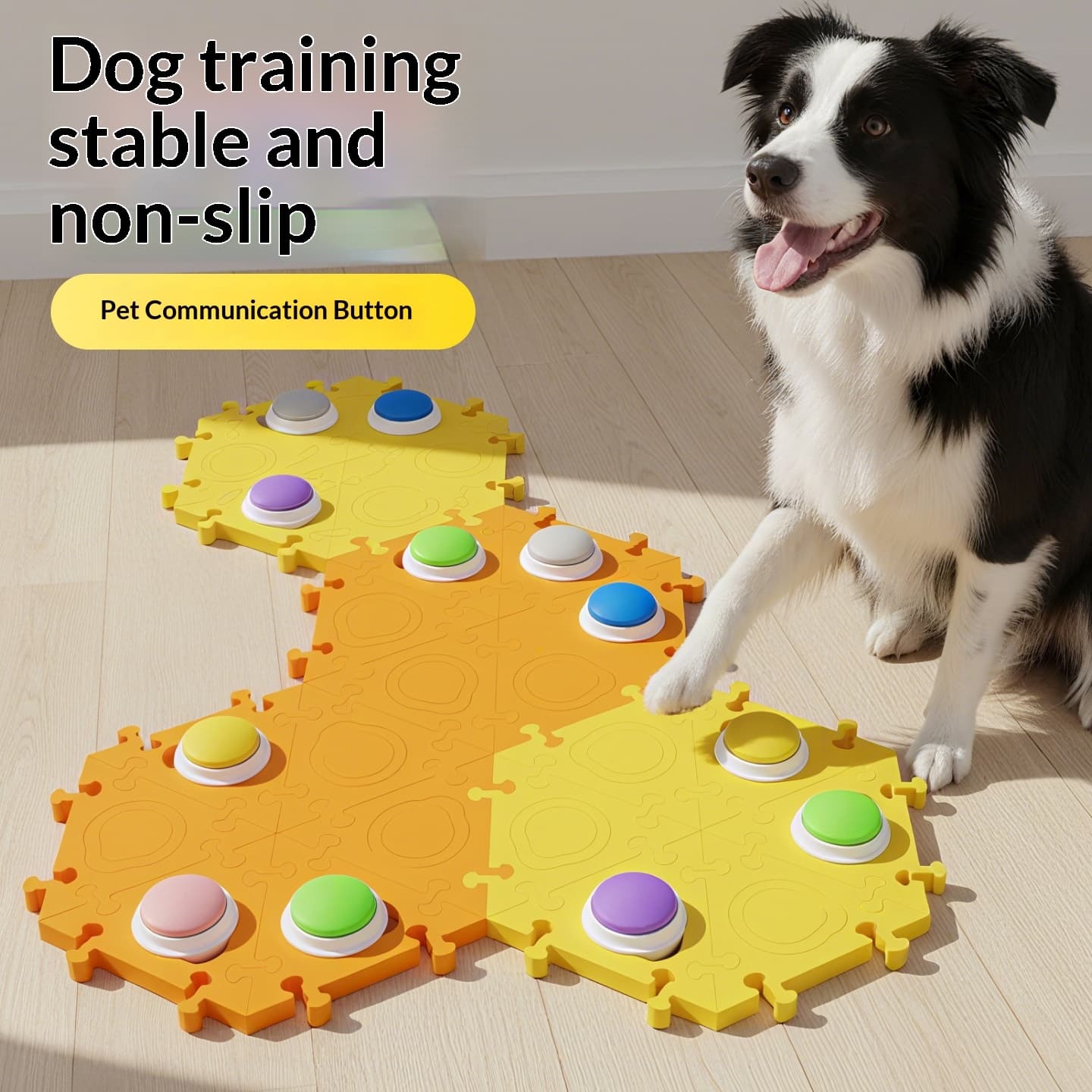 Recordable Dog Talking Buttons (6-Pack)
