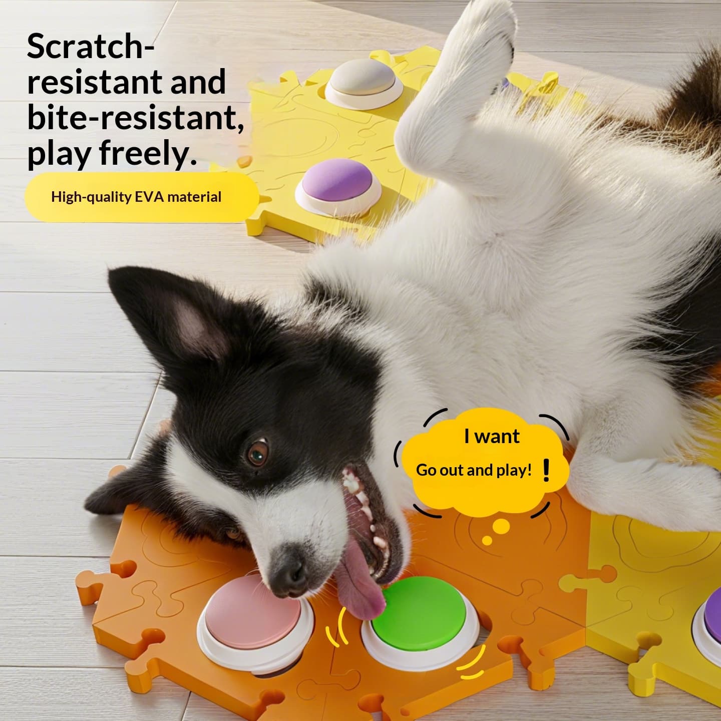 Recordable Dog Talking Buttons (6-Pack) — photo 4